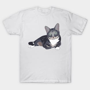 Gray tabby cat T-Shirt